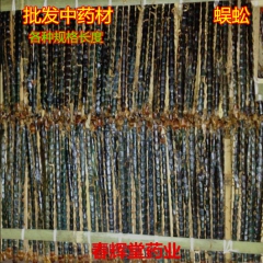 批发中药材   蜈蚣  各种规格长度 15cm长  自产自销...