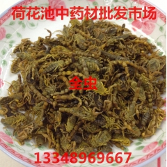 中药材蝎子全蝎 钳蝎子全虫 祛 清水干货 蜈蚣 水蛭