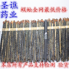 大量批发蜈蚣  整条蜈蚣  各种规格 量大从优