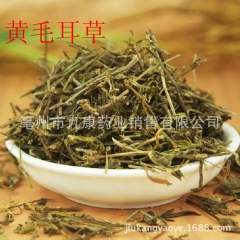 中药材 黄毛耳草 铜眼狮 地坎风 铺地蜈蚣 各种规格 供应药...