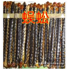 批发中药材蜈蚣 各种规格蜈蚣 大条 中条 小条 支持验货