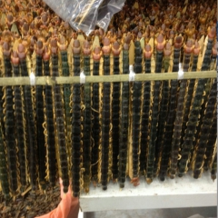 批发供应中药材 正品 蜈蚣 红头金爪蜈蚣  各种规格 长度1...