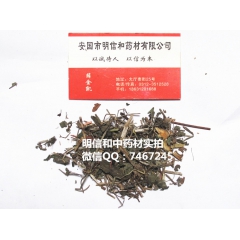 中药材 过江龙 龙须藤 蒲地虎 地蜈蚣 舒筋草 猴子草 扁叶...