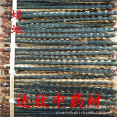 供应   优质中药材  各种规格蜈蚣    蜈蚣皮