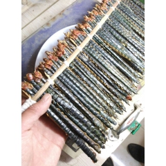 【批发供应各类中药材】蜈蚣 选装15公分左右大条  新货大货...