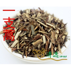 一枝蒿 中药材 蜈蚣草飞天蜈蚣 按方抓药 药店供货