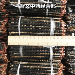 中药材专业批发 蜈蚣 百足虫 干品15公分  1条
