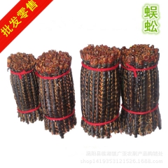 中药材批发供应 蜈蚣 百足虫 13公分2.8元/条 16公分...