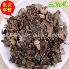 批发供应 三角枫  上树蜈蚣 钻天风 货干无杂质