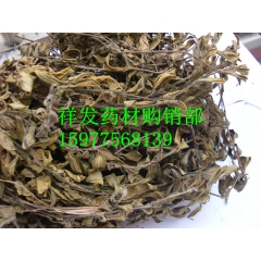 黄毛耳草过路蜈蚣 敷地两耳草、铜眼狮、地坎风、铺地蜈蚣
