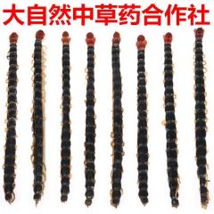 蜈蚣/蜈蚣干包邮 保证15到16公分长蜈蚣/大蜈蚣 10条包...