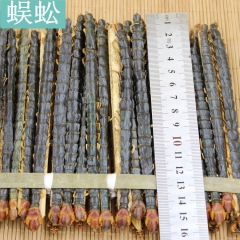 2015年新货 15公分湖北大蜈蚣批发 动物药材 中药蜈蚣 ...