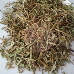 过江龙批发 草龙须藤 蒲地虎 地蜈蚣 舒筋草 扁叶石松 血龙...