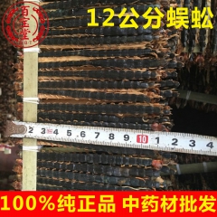 大量现货直销蜈蚣 入药12公分长蜈蚣 药食同源