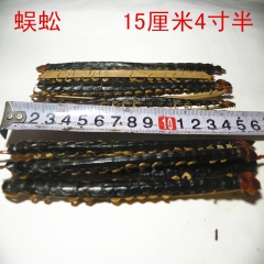 蜈蚣 川蚣 批发供应15厘米4寸半蜈蚣 个大肉厚 各种规格