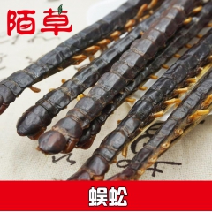 蜈蚣 越南货、单个长度14-18厘米、红褐色、一手货源、量大...