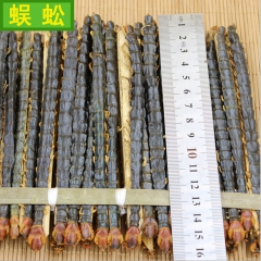 批发供应蜈蚣 湖北野生蜈蚣 大小规格中药材蜈蚣干货 出口级品...