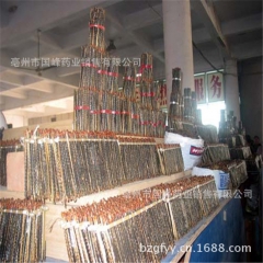 【亳州中药材】批发中药材、蜈蚣、大中小条蜈蚣