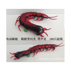 厂家直销电动蜈蚣 地推热卖电动蜈蚣 仿真电动万向带灯光音乐蜈...