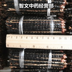 中药材专业批发 蜈蚣 百足虫 干品11公分 1条