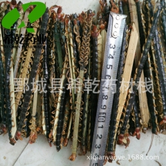 批发供应中药材 蜈蚣 14-15公分 产地直销 量大从优