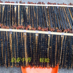 供应中药材 蜈蚣 息风止痉 解毒散结通络  量大从优  实物...