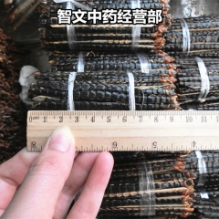 中药材专业批发 蜈蚣 百足虫 干品9公分  1条