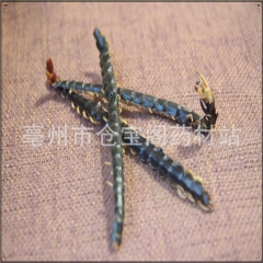 包邮大条蜈蚣16——17干燥全虫整条批发中药材蜈蚣粉各种规格...
