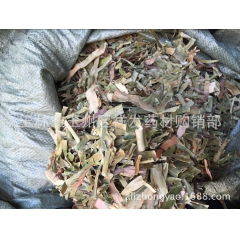 中药飞天蜈蚣 蜈蚣草石上蜈 落地蜈蚣/百足草铁斑鸠/巴岩姜
