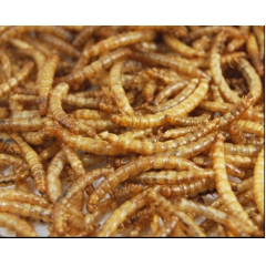 仓鼠 小动物 面包虫干 补充营养  200G