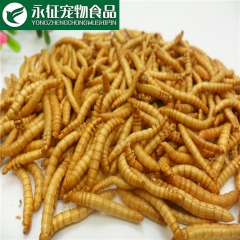 出口级冻干黄粉虫 厂家养殖销售 优质观赏鱼饲料宠物饲料500...