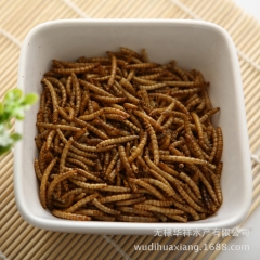 供应 特级微干黄粉虫 面包虫 各种观赏鱼饲料 宠物饲料 鱼饲...