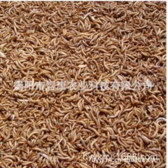 中华老字号 东阿阿胶桃花姬阿胶糕300g