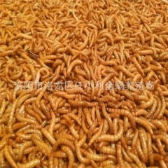 中华老字号 东阿阿胶桃花姬阿胶糕300g