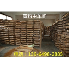 中华老字号 东阿阿胶桃花姬阿胶糕300g