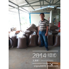 黄粉虫干品，出口黄粉虫干品，预定加工黄粉虫，烘干黄粉虫批发