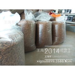 山东济宁市黄粉虫养殖基地，批发干黄粉虫，优质黄粉虫，干黄粉虫