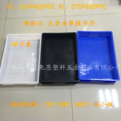 厂家直销：昆明 黄粉虫 大麦虫养殖盘 黄粉虫养殖方盘