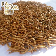 朗诺厂家直销 冻干黄粉虫 面包虫 脱水虫饵料 鸟粮 龟粮 出...