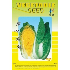 优质娃娃菜良种---橘心娃娃菜