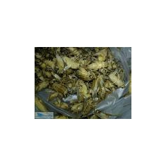 供应蟋蟀，蚕蛾，蚕茧，蚕蛹，蚕沙，灰豆巴，凤凰衣，驴肾