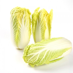基地直供新鲜娃娃菜生鲜批发黄芯小白菜娃娃菜寿光生鲜基地娃娃菜