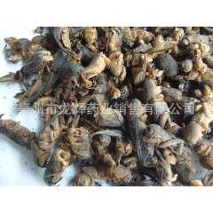 中华老字号 东阿阿胶桃花姬阿胶糕300g