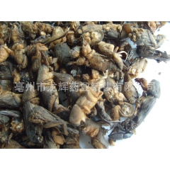 中华老字号 东阿阿胶桃花姬阿胶糕300g