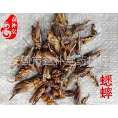中华老字号 东阿阿胶桃花姬阿胶糕300g