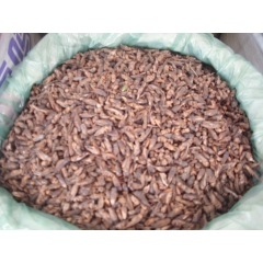 中华老字号 东阿阿胶桃花姬阿胶糕300g