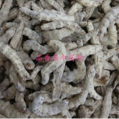 中药材批发 天虫 姜蚕 白僵蚕 川僵蚕 产地直销 同仁堂品质