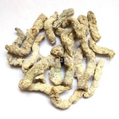中药材批发 僵蚕 天虫、姜蚕、白僵蚕 祛风解痉