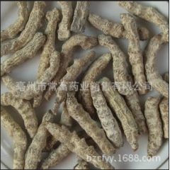 供应中药材白僵蚕 炒僵蚕 加工僵蚕精细粉 各种规格  支持验...
