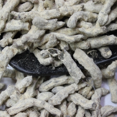 直销 中药材蚕虫 美白养颜 白僵蚕 保障质量 特级僵蚕干 清...